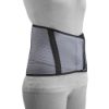 Picture of Sacro Brace, 10-Inch Back, Criss-Cross Support, Select Series
