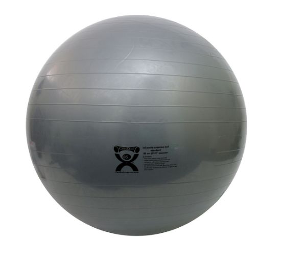 Picture of CanDo ABS inflatable ball