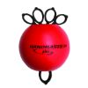 Picture of Handmaster Plus hand exerciser