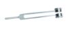 Picture of Tuning fork with weight