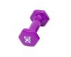 Picture of Color-coded vinyl-coated iron dumbbell