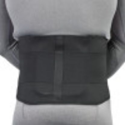 Picture of LumboTek Lumbosacral Support
