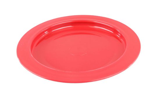 Picture of Inner lip plate, plastic, 9"