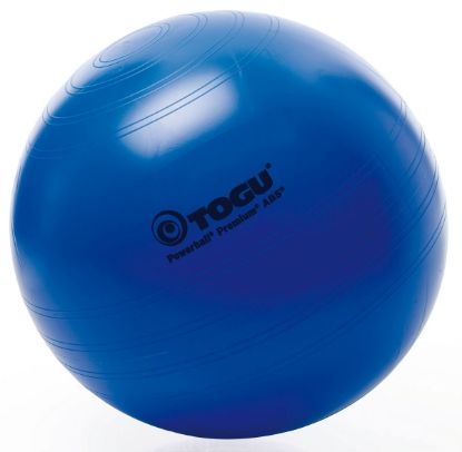 Picture of Togu Powerball Premium ABS