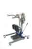 Picture of Electric Sit-To-Stand Lift - Compact