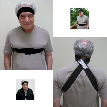 Picture of Looking Forward Band