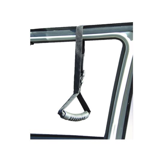 Picture of CarCaddie