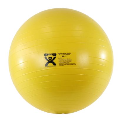 Picture of CanDo ABS inflatable ball