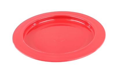Picture of Inner lip plate, plastic, 9"