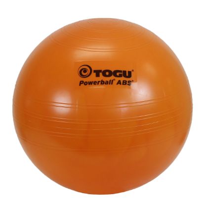 Picture of Togu Powerball ABS