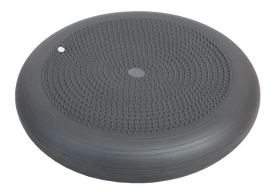 Picture of Togu Dynair Ballkissen XXL (actisan), 20"