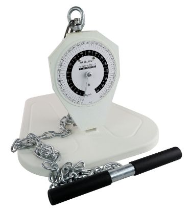 Picture of Baseline back, leg, chest dynamometer, adult, 660 lb.