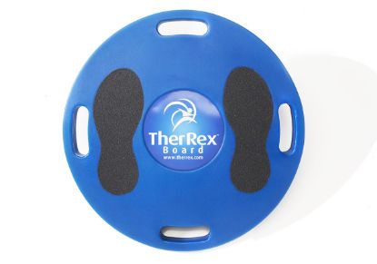 Picture of TherRex Board