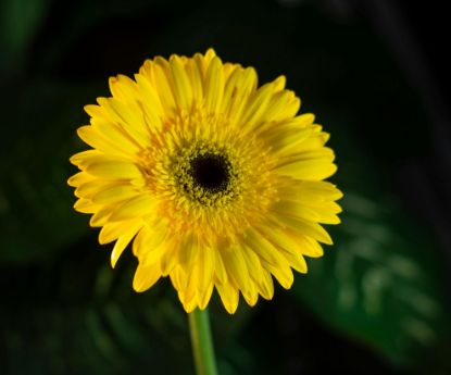 Picture of imp055 test